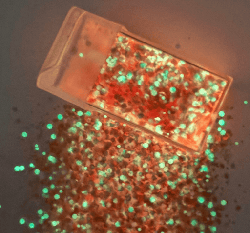 Glow in the dark glitter - Orange 42g - Harry & Wilma