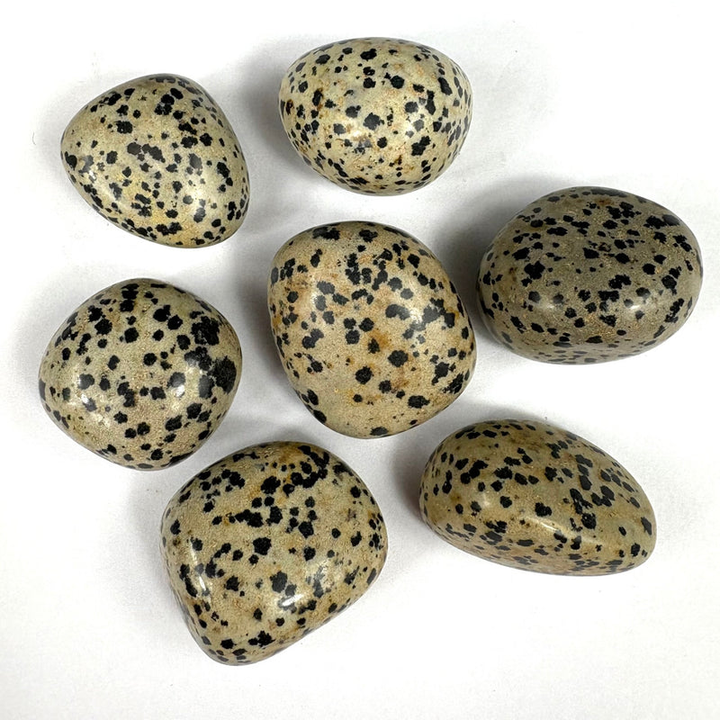 Semi Precious Polished Stone 250g - dalmation jasper 7pc 3.5 - 4 cm per pc - Harry & Wilma