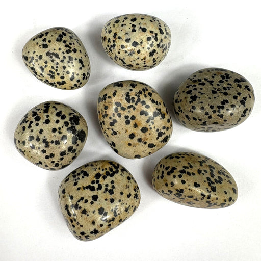 Semi Precious Polished Stone 250g - dalmation jasper 7pc 3.5 - 4 cm per pc - Harry & Wilma