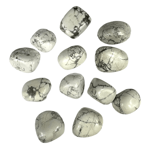 Semi Precious Polished Stone 250g - howlite 12pc - Harry & Wilma