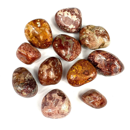 Semi Precious Polished Stone 250g - india agate 11pc 2.5cm - 3cm - Harry & Wilma