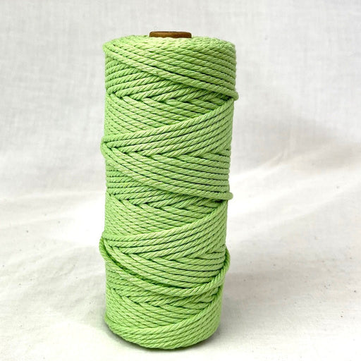 3mm Macrame Cotton Cord 100mtr roll - Mint - Harry & Wilma