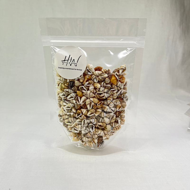 Tiny Shell Mix With Hole 10 - 12mm 100g approx 300pc