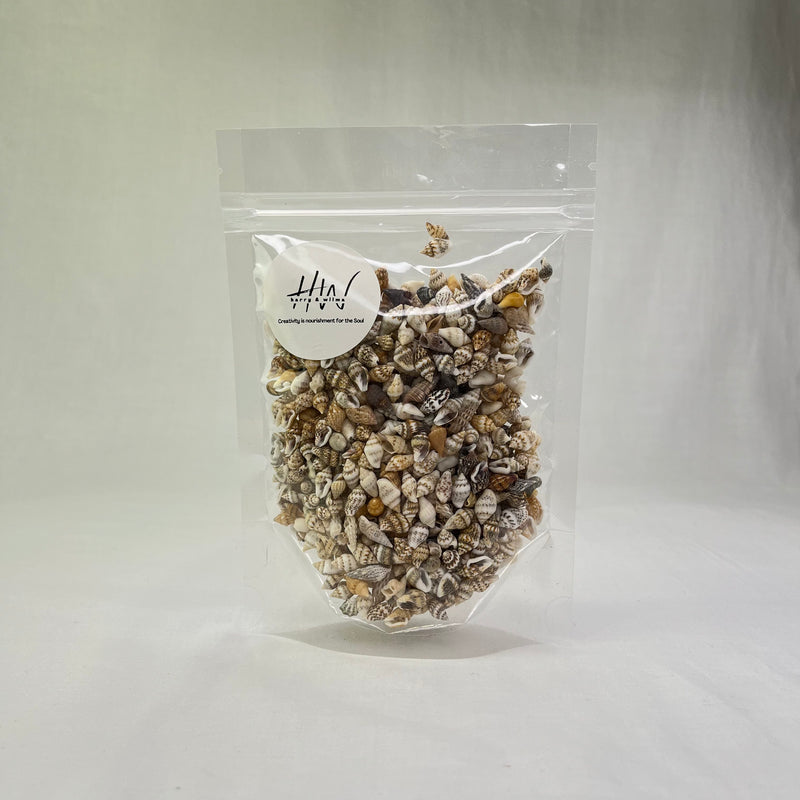 Tiny Shell Mix With No Hole 10mm 100g approx 400pc