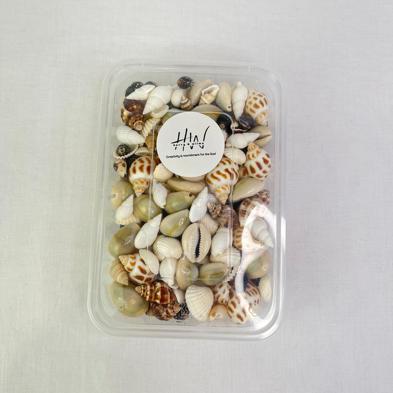Premium Shell Mix Assortment No Hole Approx 200g